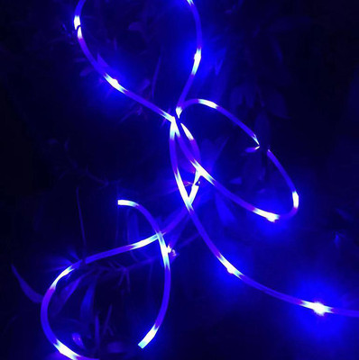 戶外景觀燈 庭院景觀燈 防水管子燈LED軟燈條 LED軟燈帶 管子燈 LED銅線燈 防水裝飾銅線燈 廠家直銷